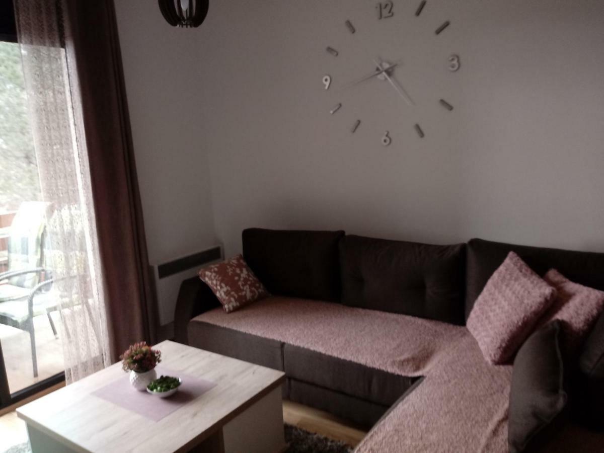 Apartman Nana Svetogorska 19 ,Stan 17 Zlatibor Exterior photo